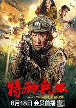特种兵王之原子核爆