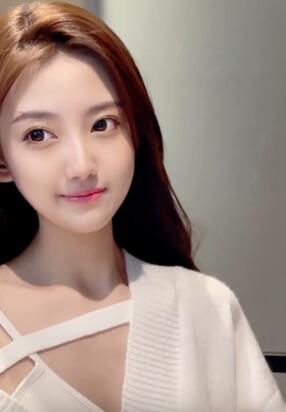 茶杯狐 Cupfox 茶杯狐