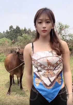 茶杯狐cupfox官网