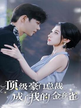 顶级豪门总裁成了我的金丝雀