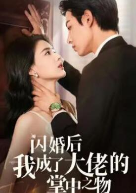 闪婚后我成了大佬的掌中之物