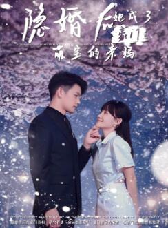 隐婚后,她成了豪门萌宝的亲妈
