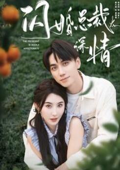 闪婚总裁太深情