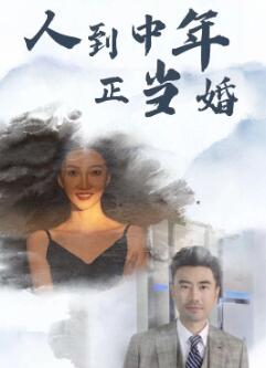 人到中年正当婚
