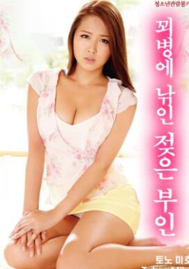 ��װ��ƭ�Ϲ��ĸ���