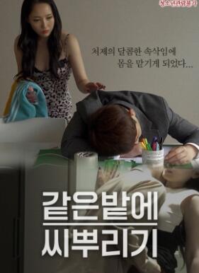 ��ͬһ��ز���