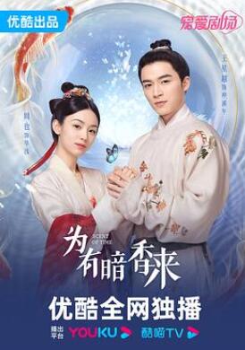 为有暗香来