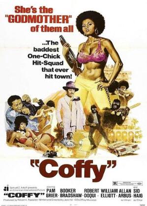 女金刚横扫毒枭