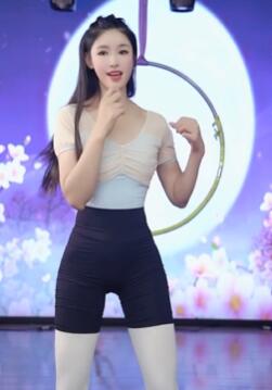 你的电子宠物已上线