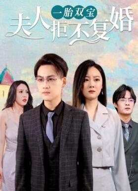 一胎双宝,夫人拒不复婚
