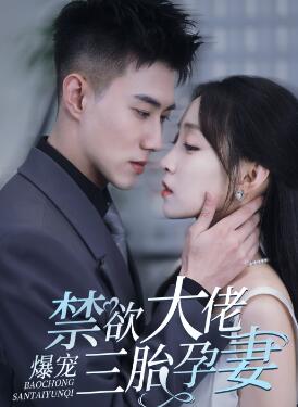 禁欲大佬爆宠三胎孕妻
