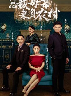 总裁母亲来自农村
