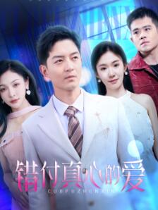 错付真心的爱
