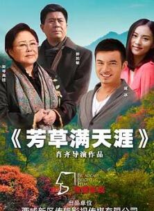 芳草满天涯