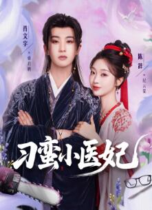 刁蛮小医妃