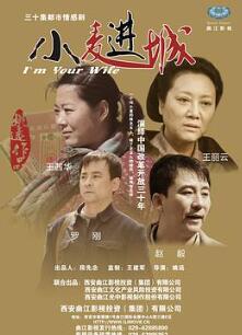 小麦进城